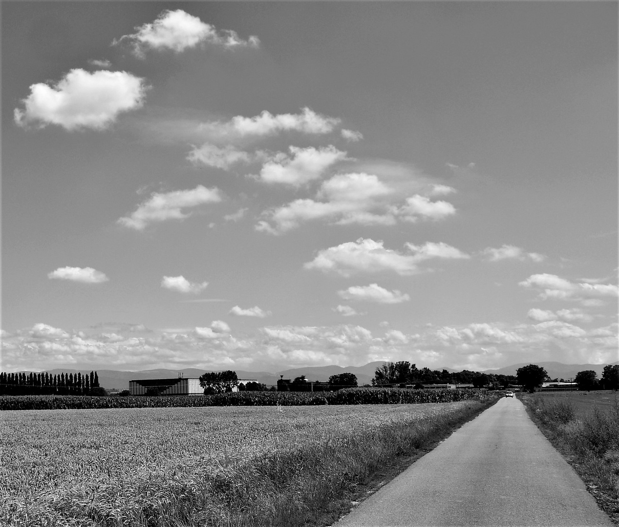 Mit dem Rad - kurz vor Breisach 