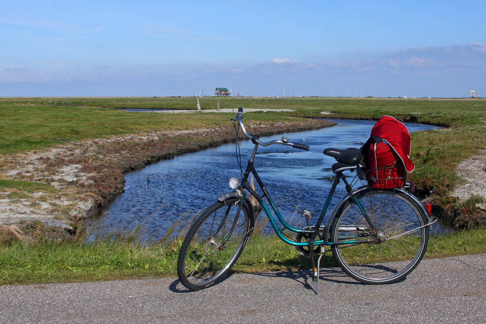 Mit dem Rad rundum die Hallig