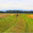 Mit dem Rad unterwegs auf Fotosafari