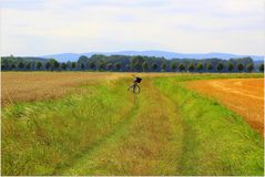 Mit dem Rad unterwegs auf Fotosafari