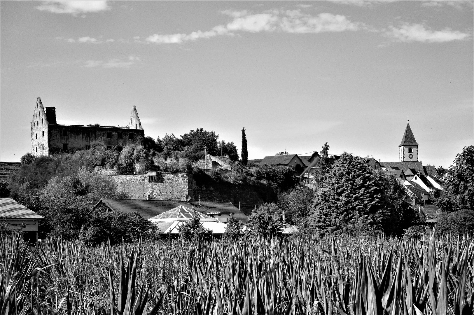 Mit dem Rad zum  Baden im Baggersee - Burkheim mit Schloßruine