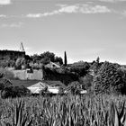 Mit dem Rad zum  Baden im Baggersee - Burkheim mit Schloßruine