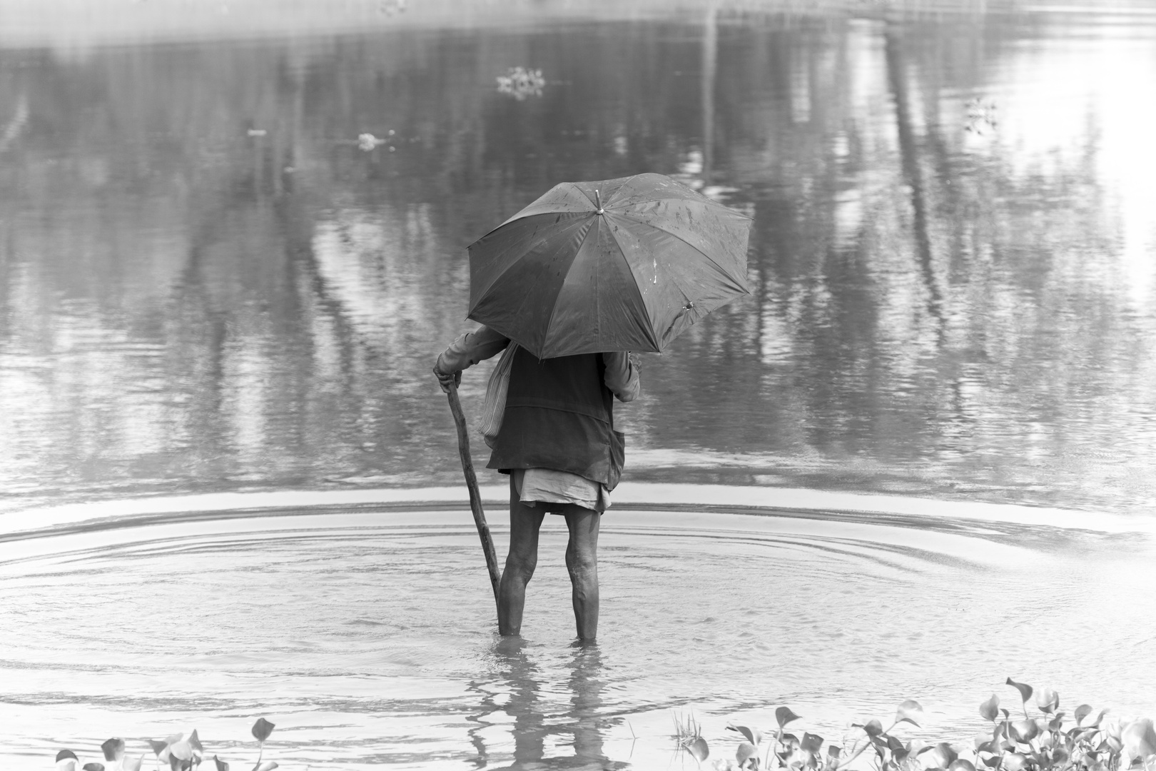 Mit dem Regenschirm im Wasser.