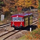 Mit dem Schienenbus zum Martini-Markt