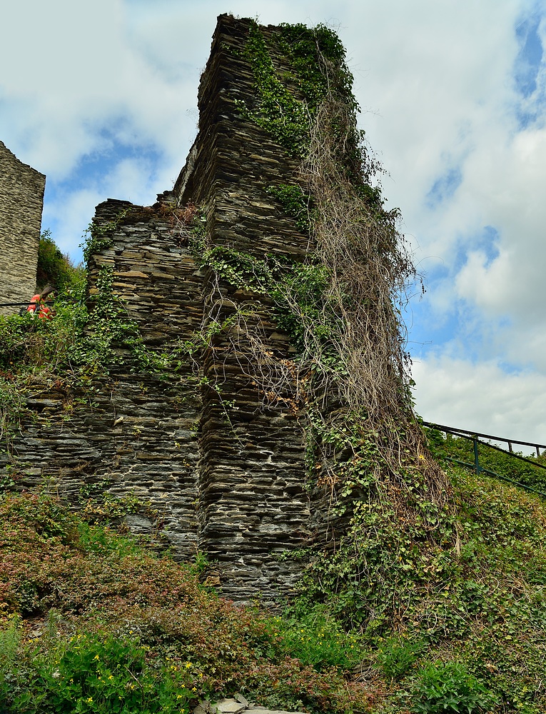 Mit dem Schiff der Mosel entlang 8