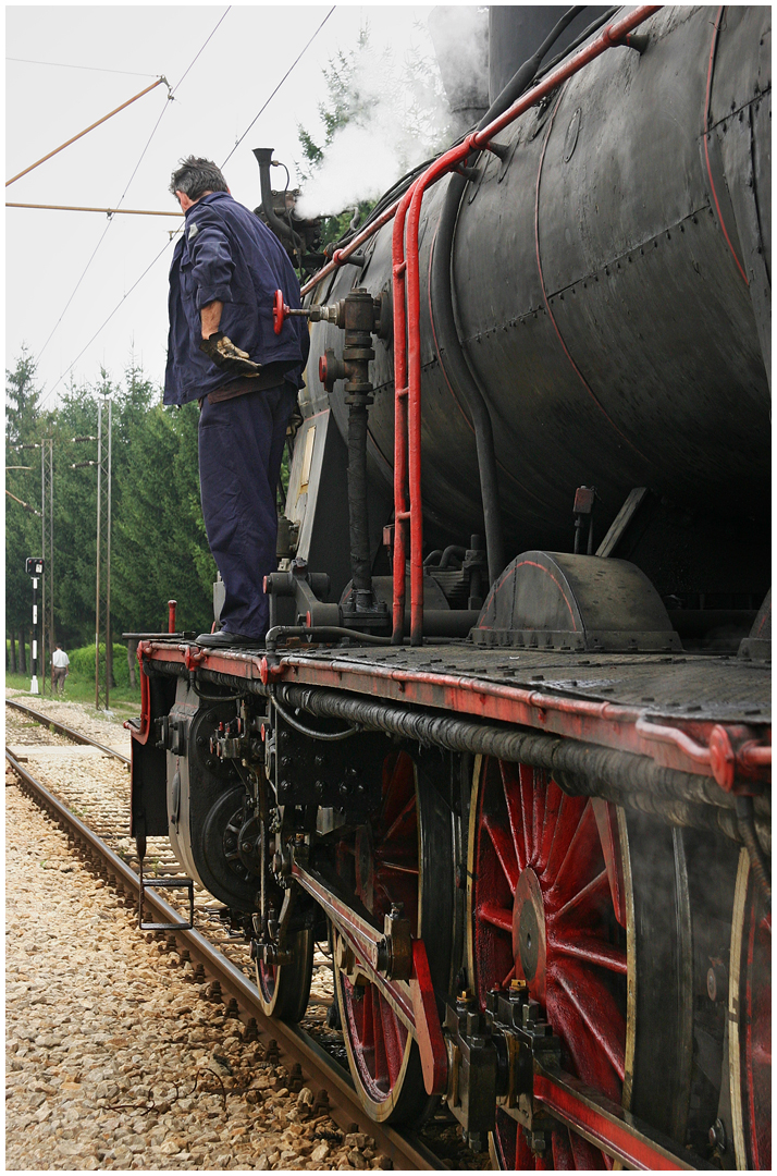 Mit dem Schnellzug durch den Kukuruz VIII