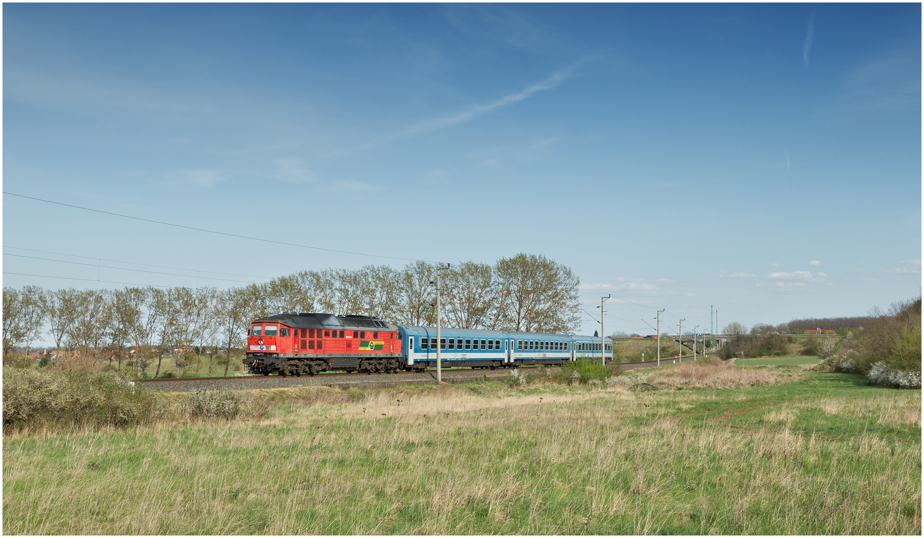 Mit dem Schnellzug durch die Hecke C