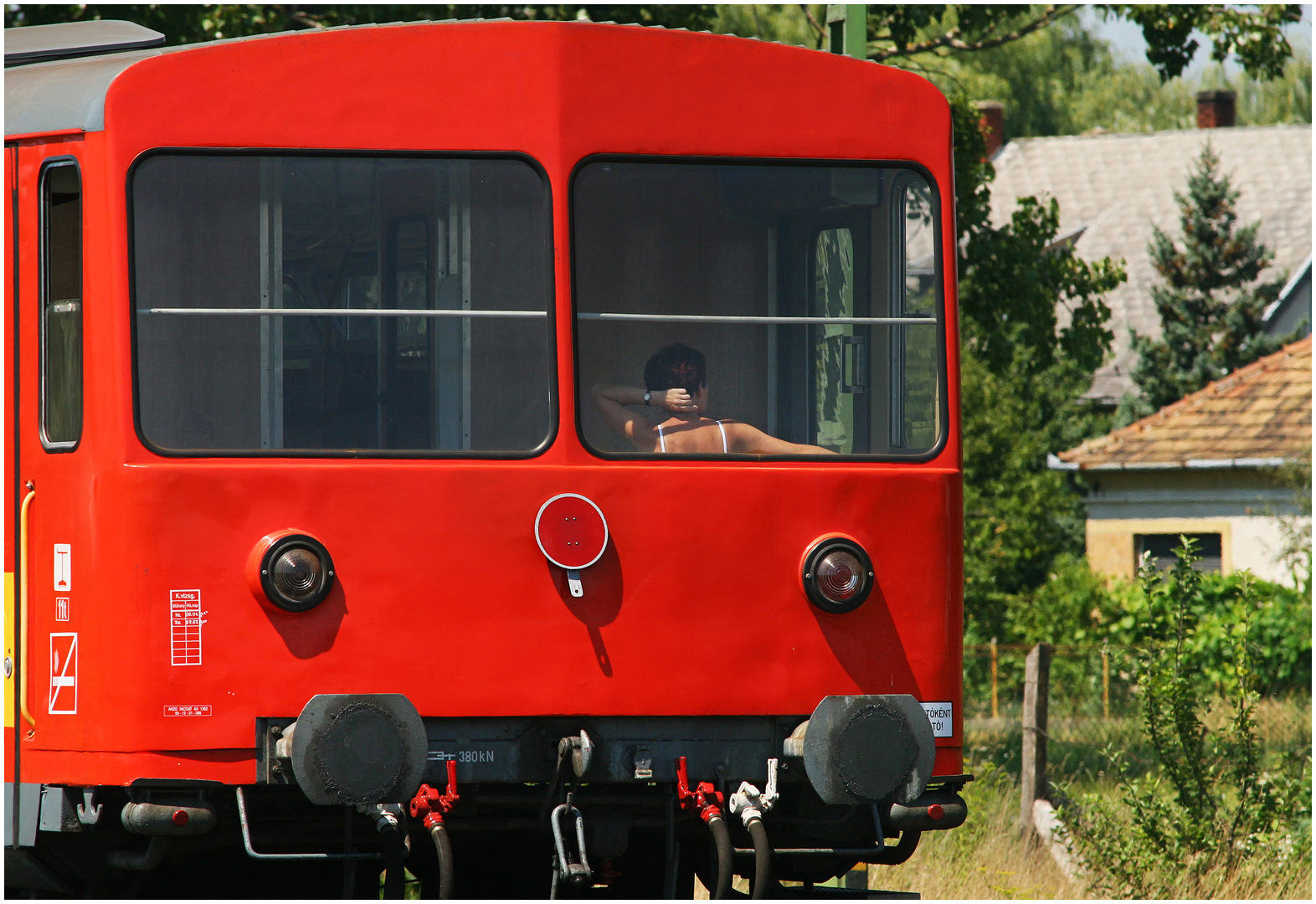 Mit dem Schnellzug durch die Hecke CCCLXXIV