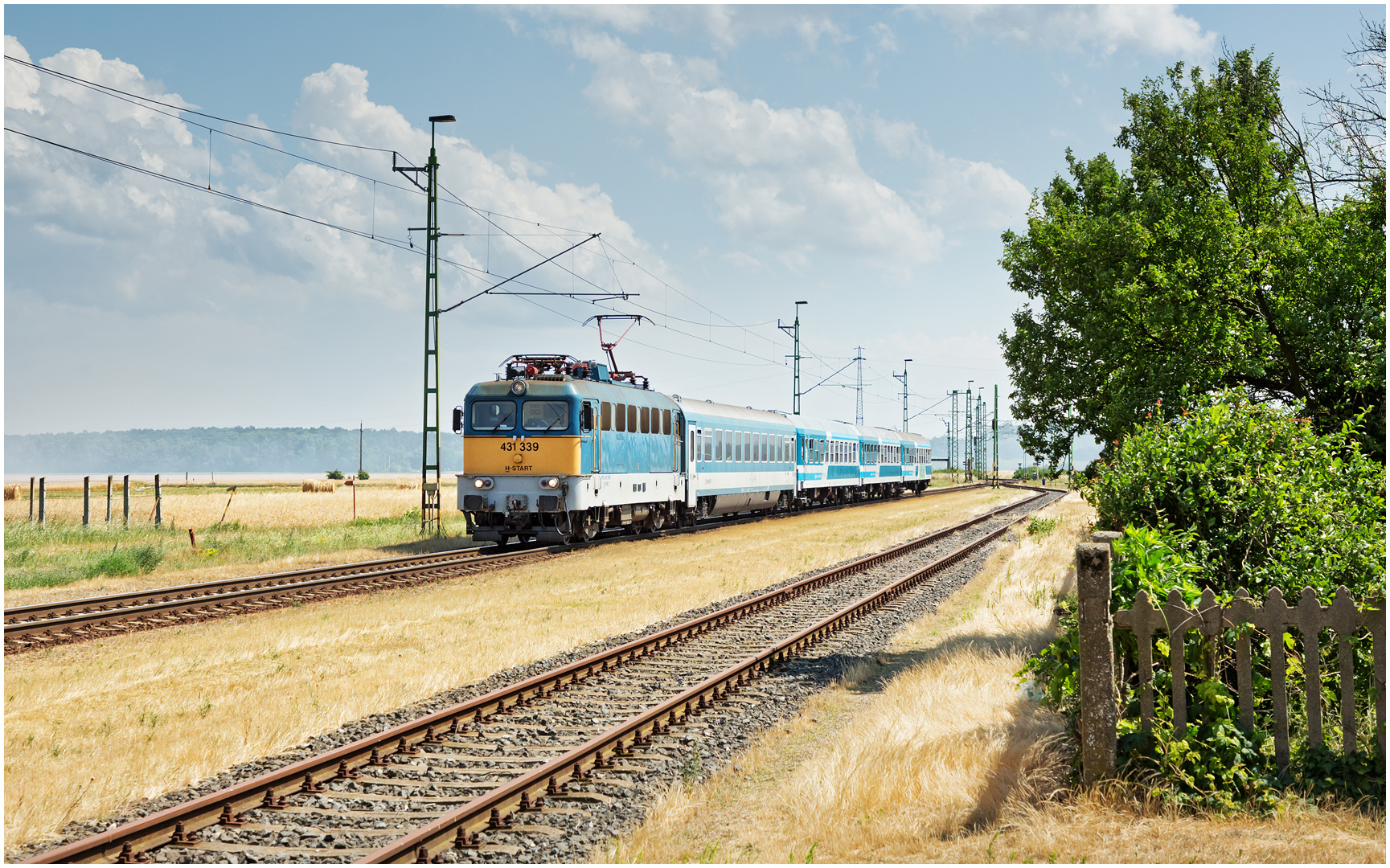 Mit dem Schnellzug durch die Hecke CCCLXXXIII