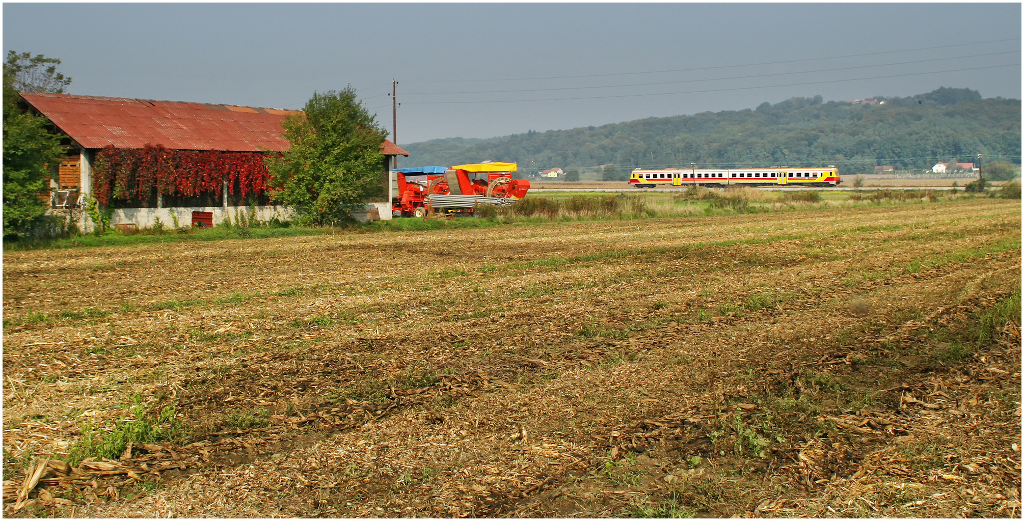 Mit dem Schnellzug durch die Hecke CCCXCVII