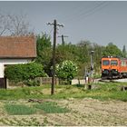 Mit dem Schnellzug durch die Hecke CCCXXII