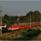 Mit dem Schnellzug durch die Hecke CCII