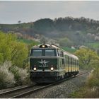 Mit dem Schnellzug durch die Hecke CCIV