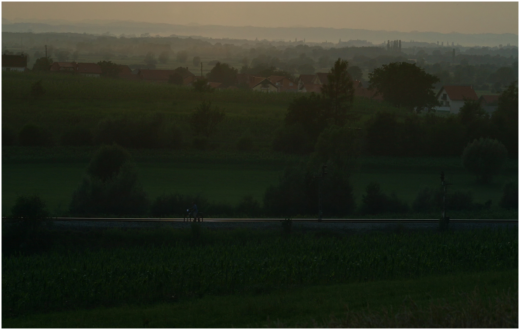 Mit dem Schnellzug durch die Hecke CCLV