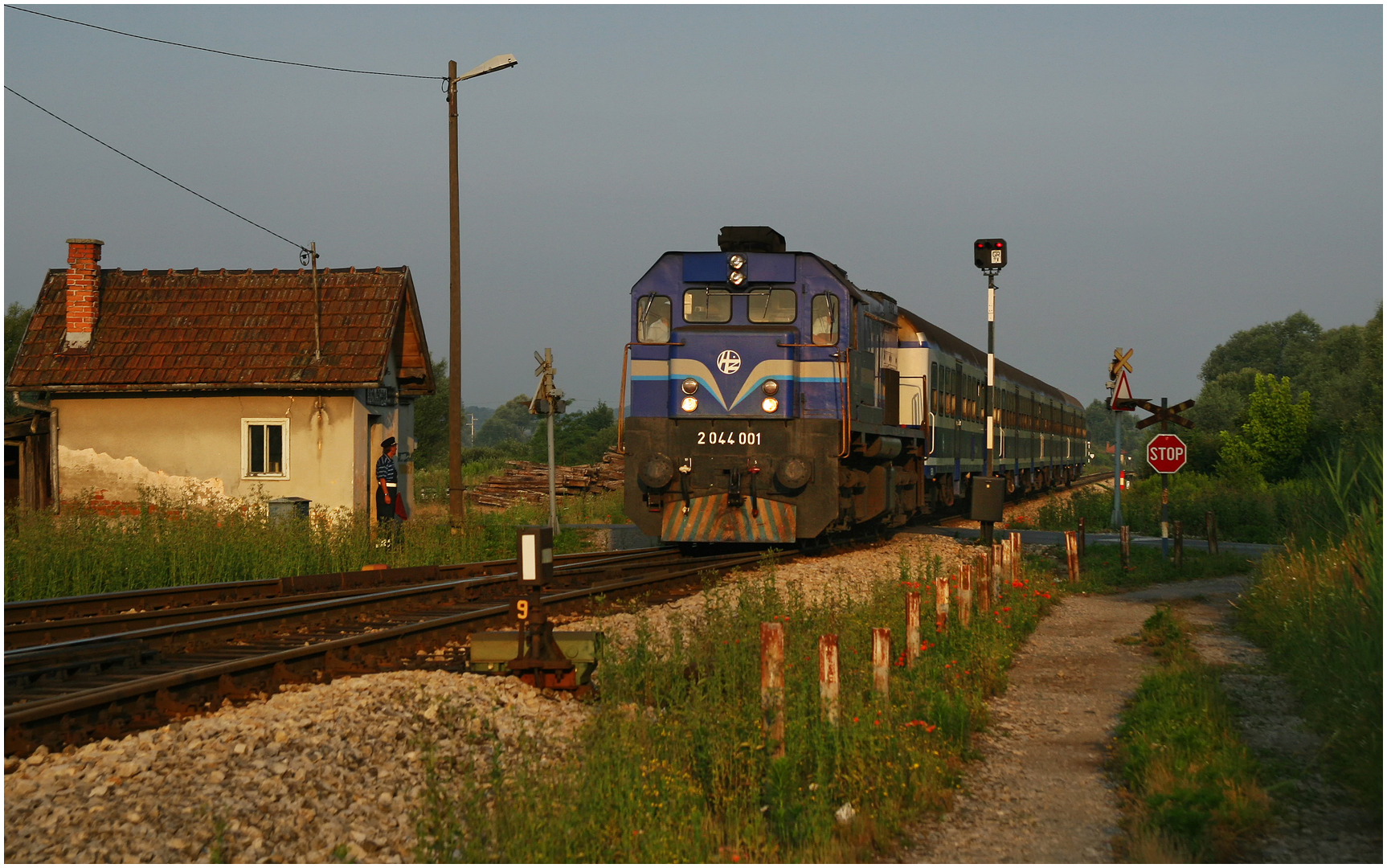 Mit dem Schnellzug durch die Hecke CCLXVIII