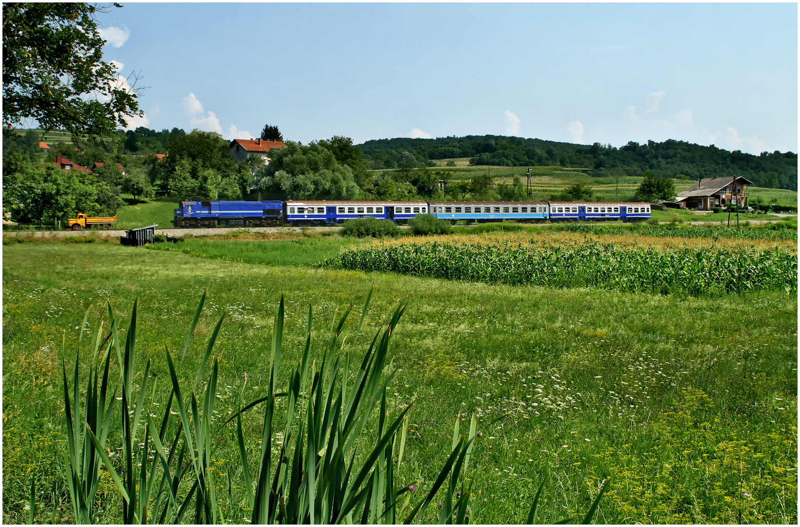 Mit dem Schnellzug durch die Hecke CCLXXII