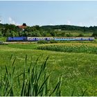 Mit dem Schnellzug durch die Hecke CCLXXII