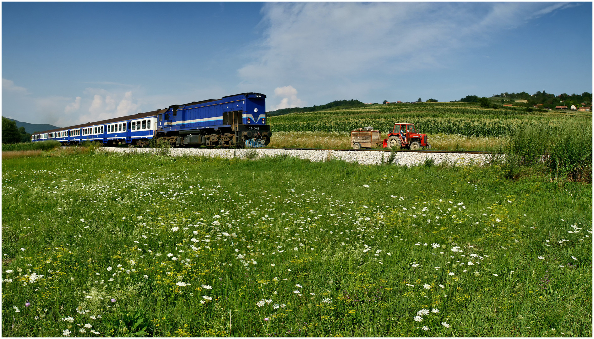 Mit dem Schnellzug durch die Hecke CCLXXIV