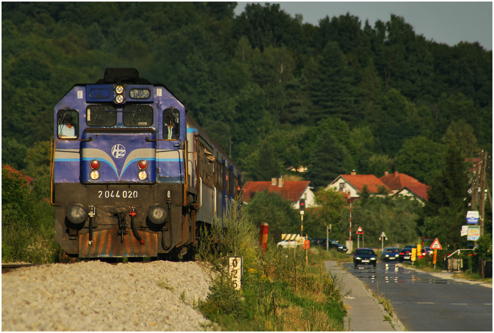 Mit dem Schnellzug durch die Hecke CCLXXXIII