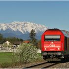 Mit dem Schnellzug durch die Hecke CCV