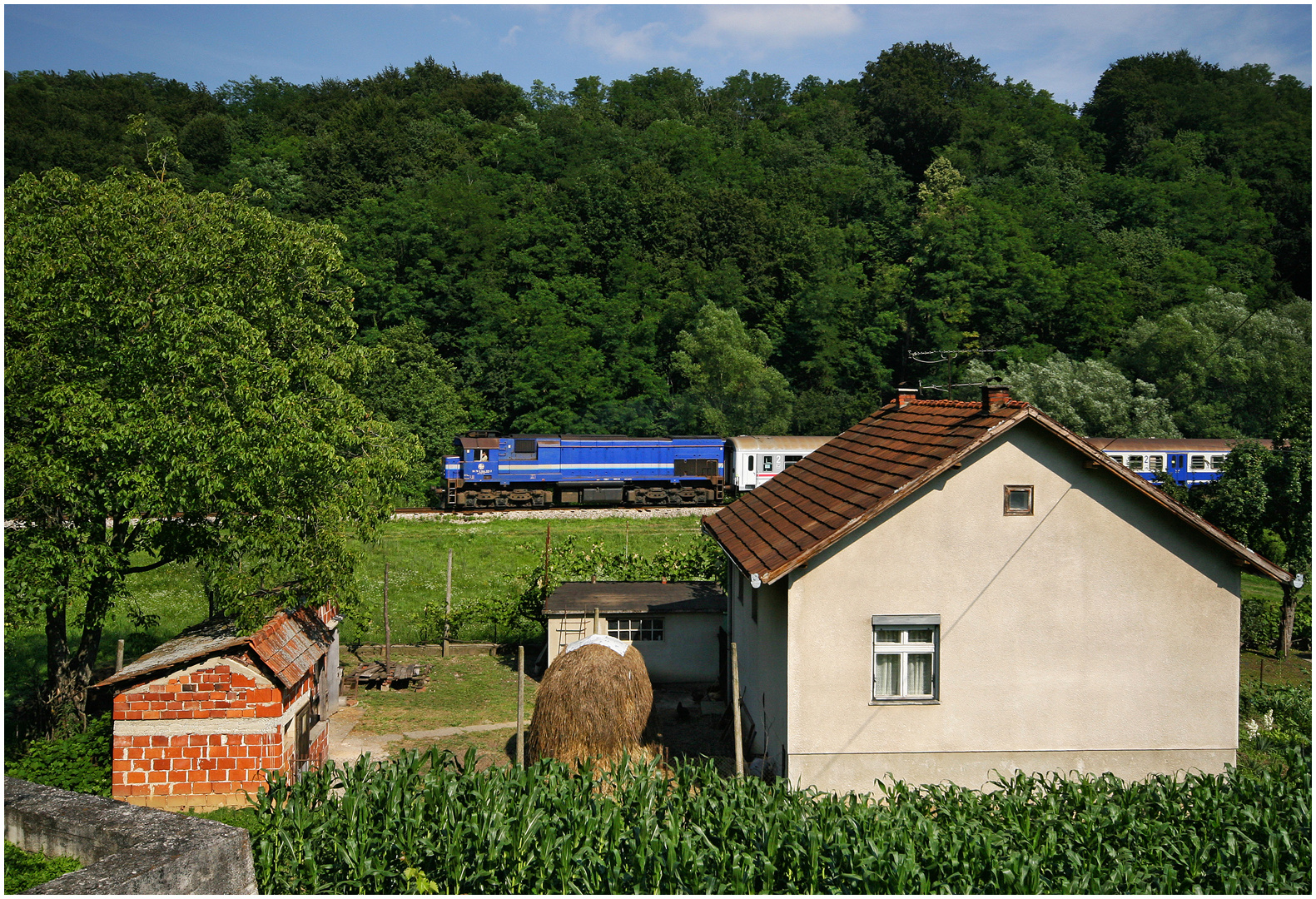 Mit dem Schnellzug durch die Hecke CCXLIX