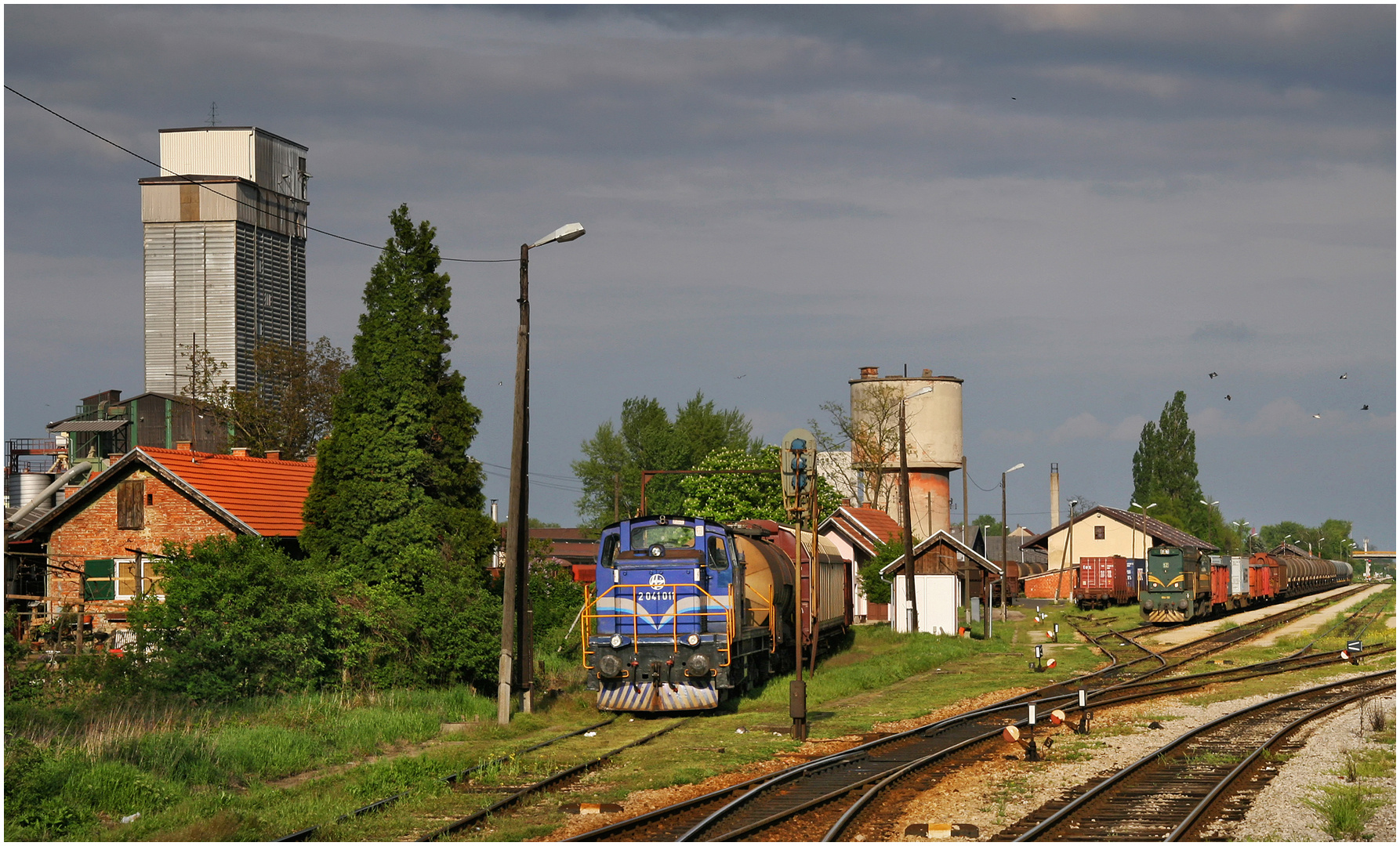 Mit dem Schnellzug durch die Hecke CCXXXI