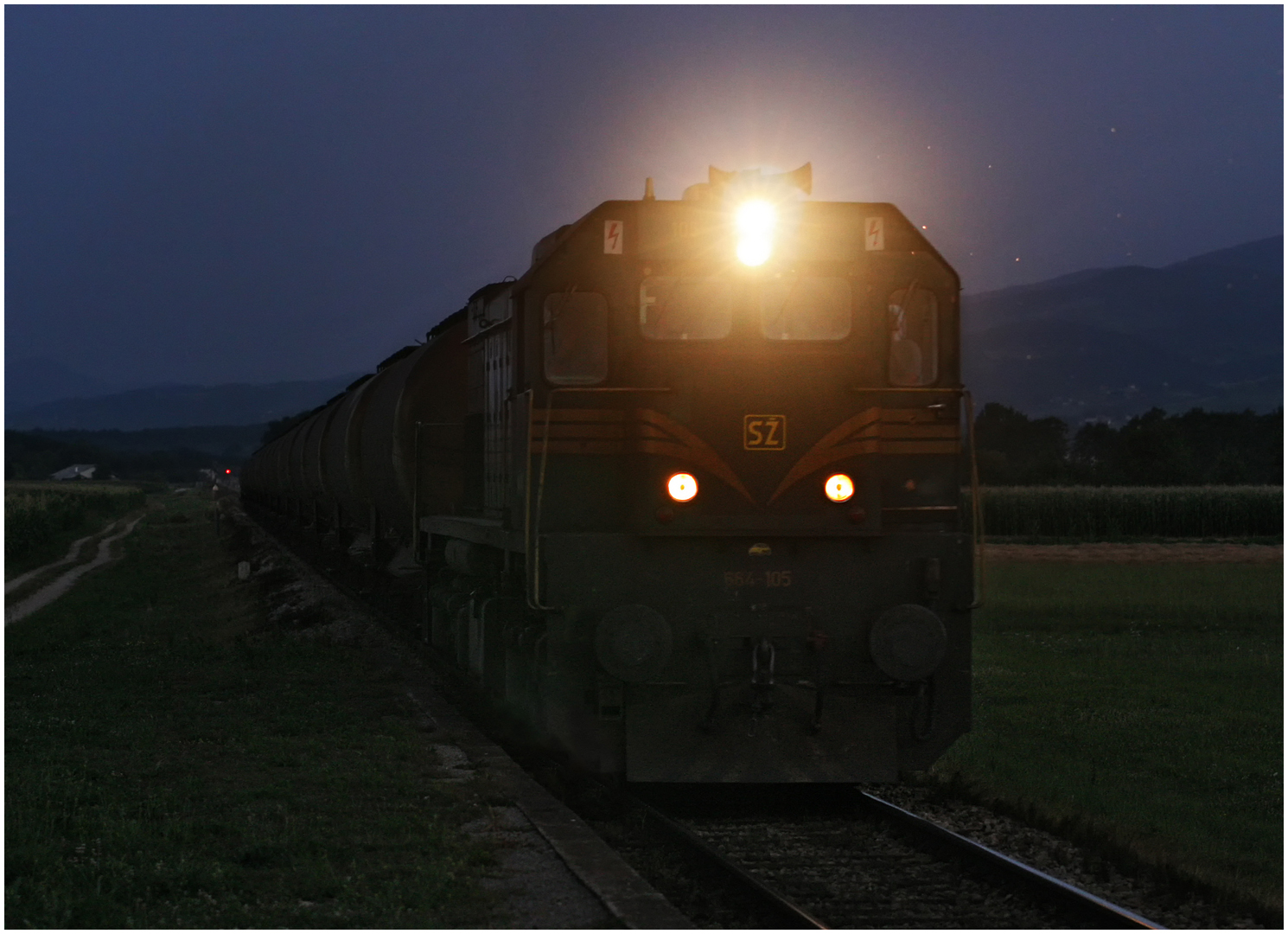 Mit dem Schnellzug durch die Hecke CDIX