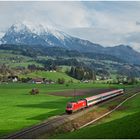 Mit dem Schnellzug durch die Hecke CDLII