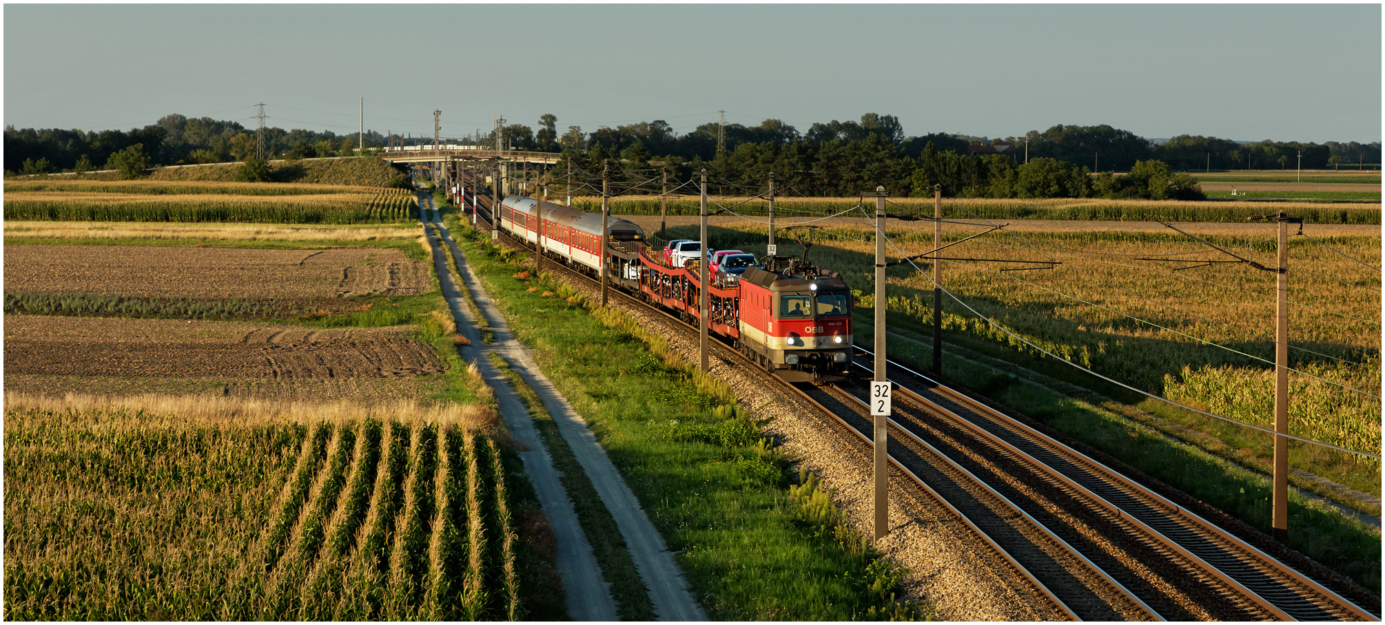 Mit dem Schnellzug durch die Hecke CDLXIV