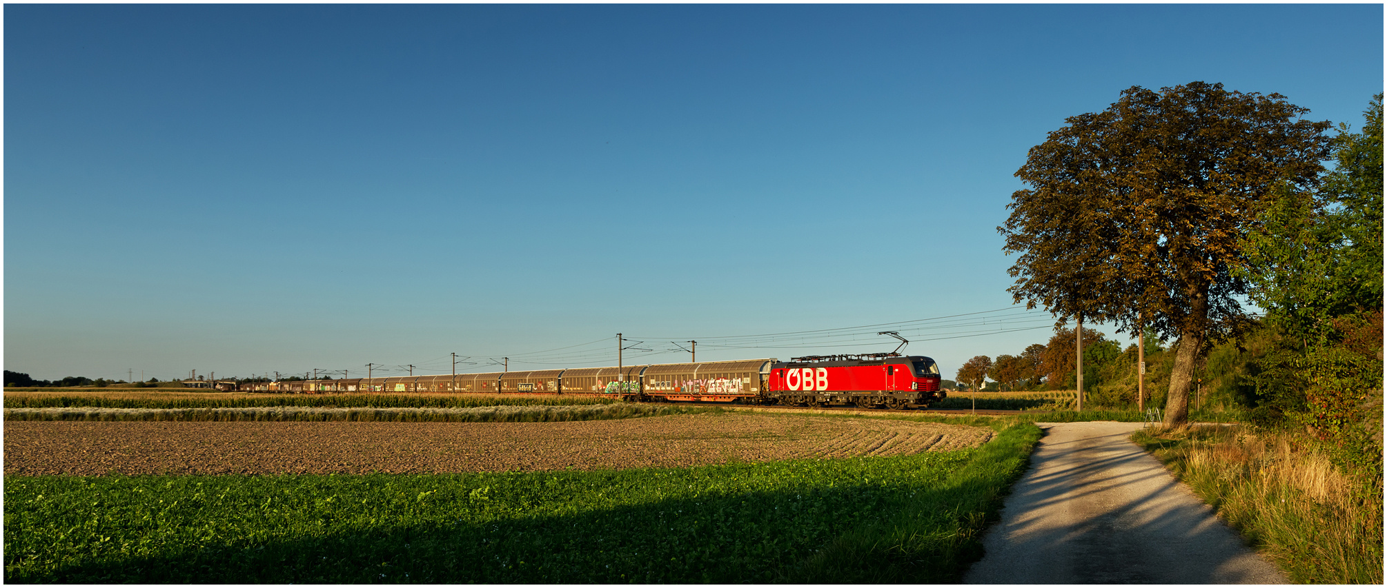 Mit dem Schnellzug durch die Hecke CDLXVII