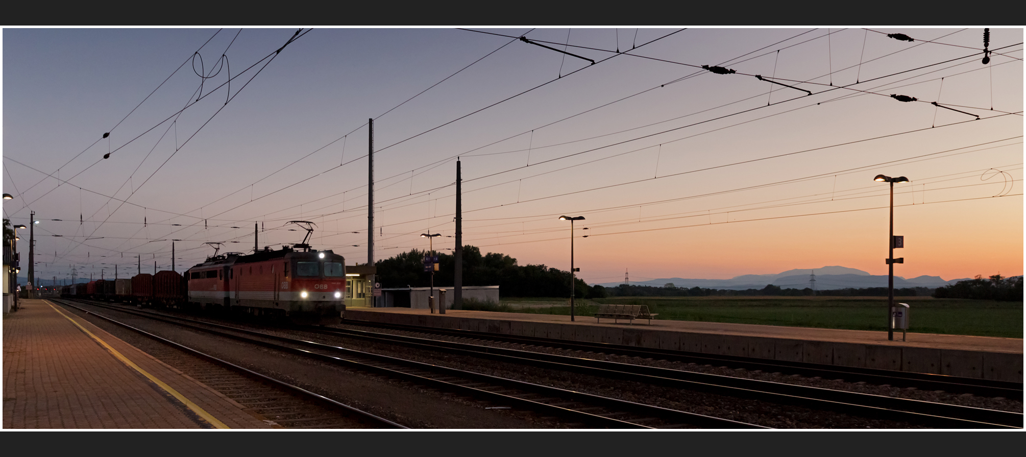 Mit dem Schnellzug durch die Hecke CDLXXIII