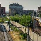 Mit dem Schnellzug durch die Hecke CDLXXVIII