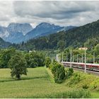 Mit dem Schnellzug durch die Hecke CDLXXXVIII