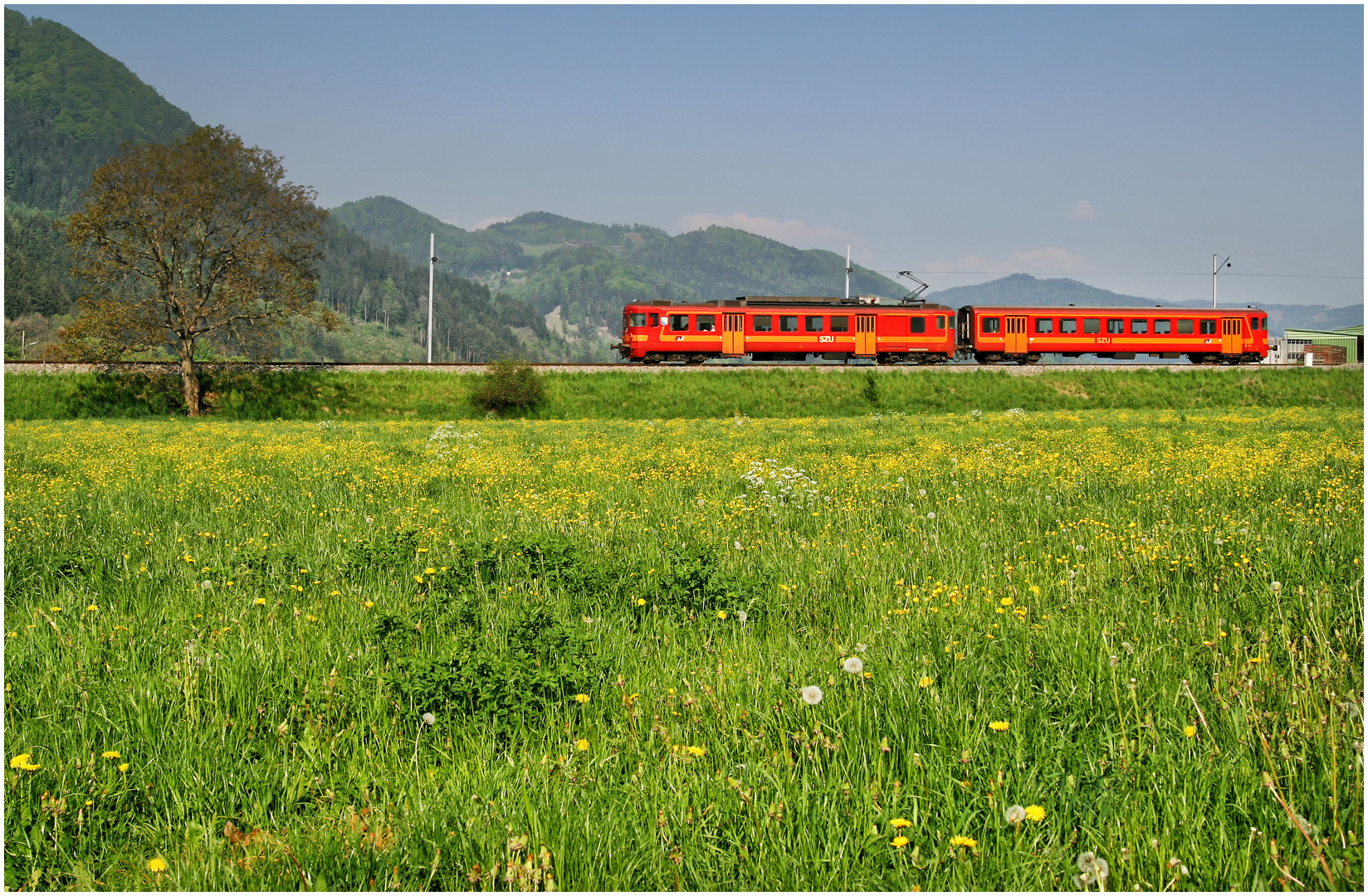 Mit dem Schnellzug durch die Hecke CDXLVII