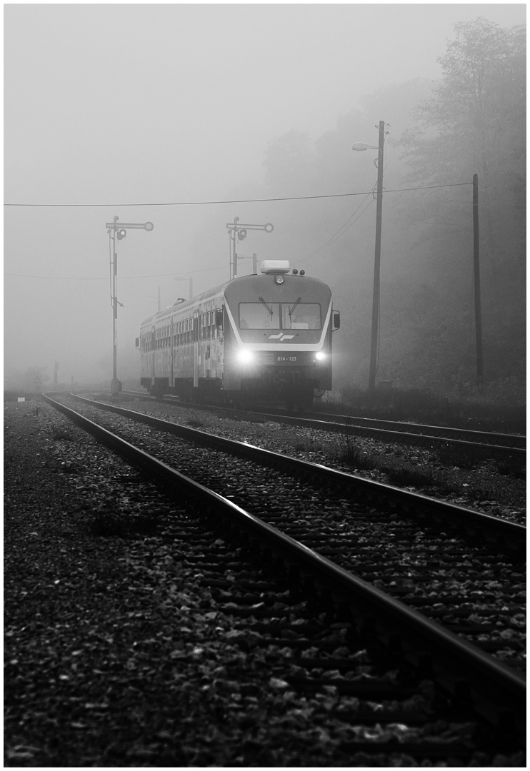 Mit dem Schnellzug durch die Hecke CDXV