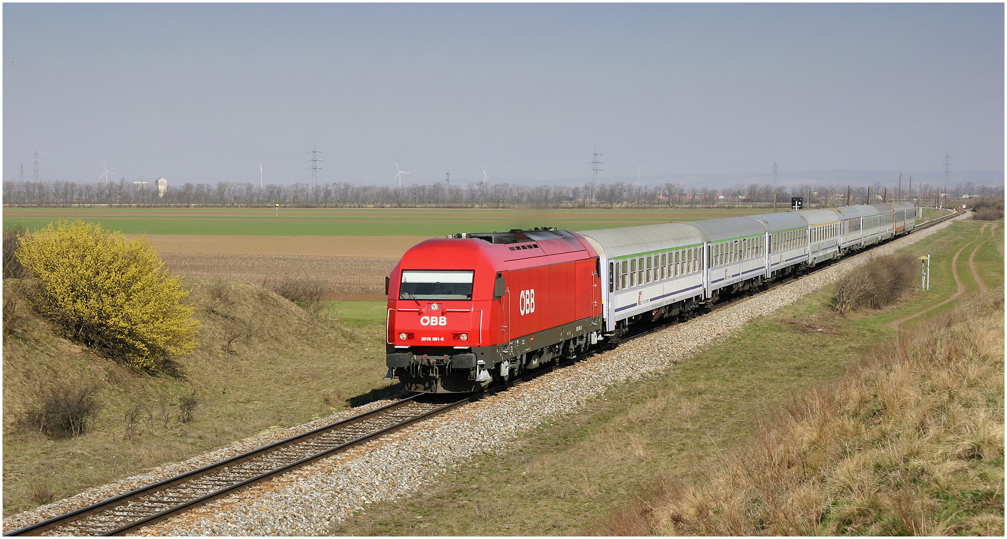 Mit dem Schnellzug durch die Hecke CL