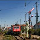 Mit dem Schnellzug durch die Hecke CLV