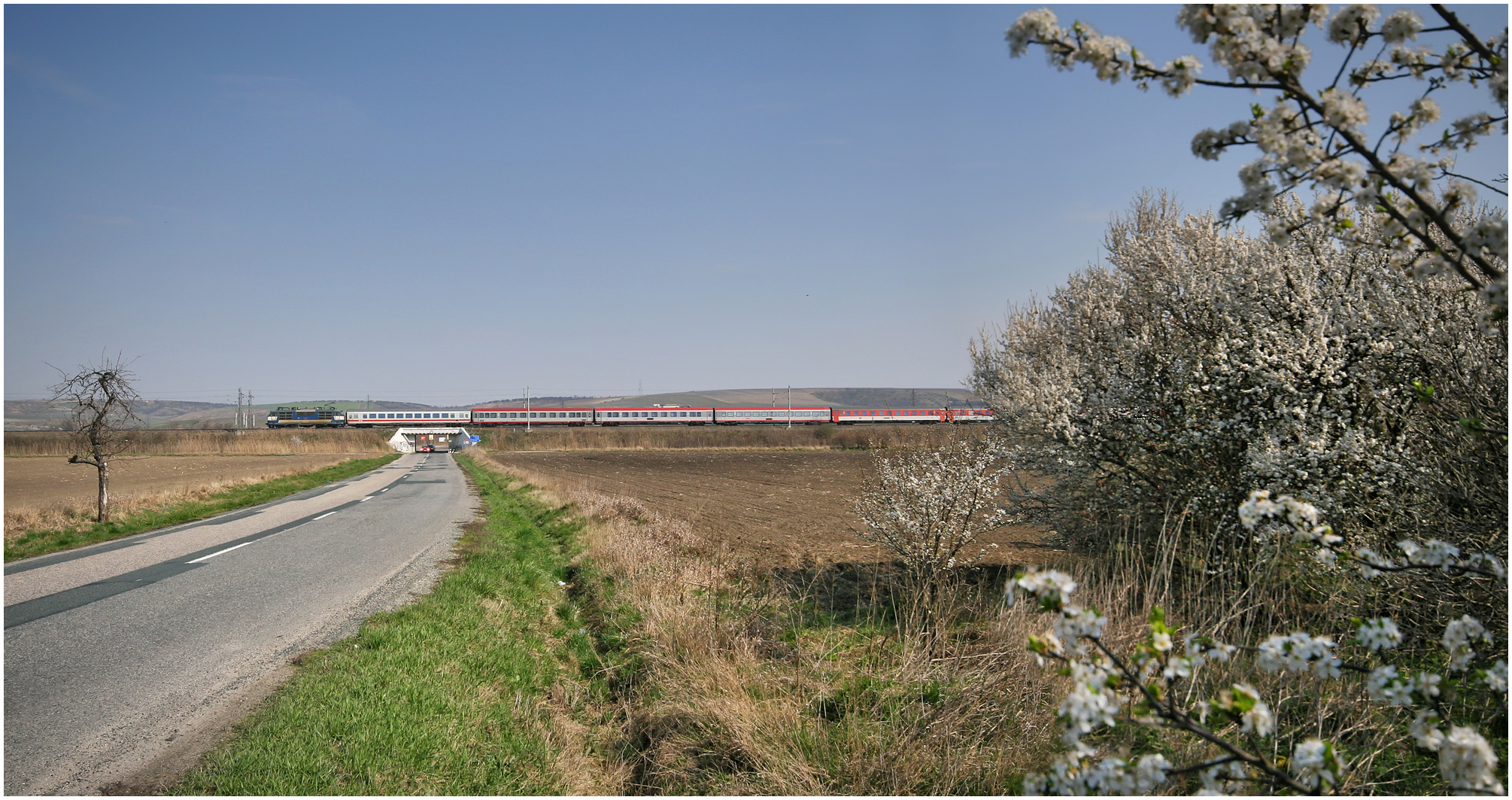 Mit dem Schnellzug durch die Hecke CLX