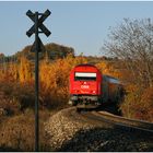 Mit dem Schnellzug durch die Hecke CLXX