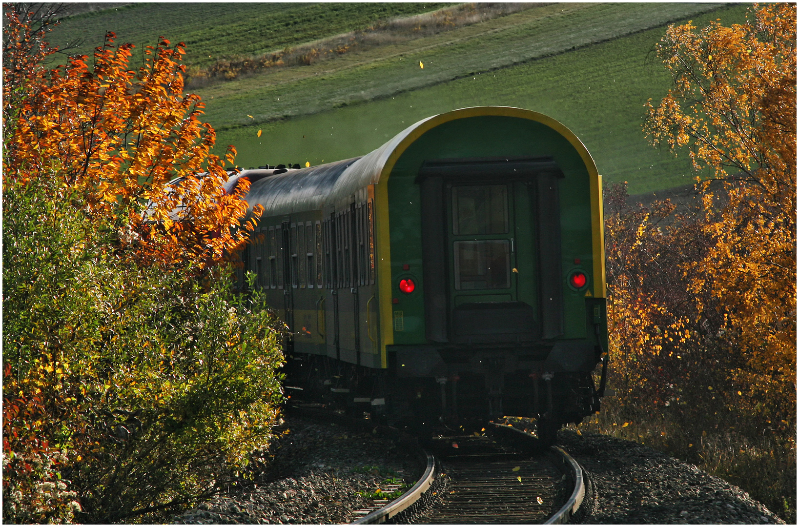 Mit dem Schnellzug durch die Hecke CLXXII