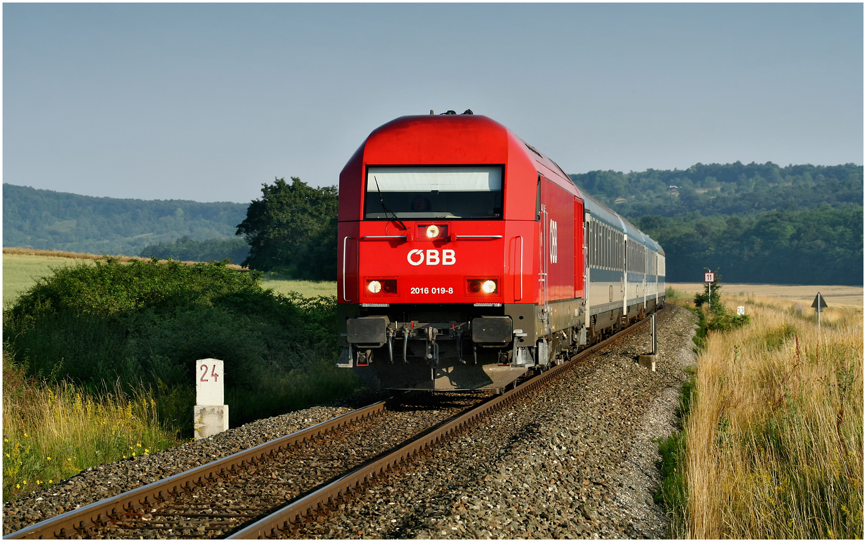 Mit dem Schnellzug durch die Hecke CLXXIX