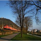 Mit dem Schnellzug durch die Hecke CLXXV