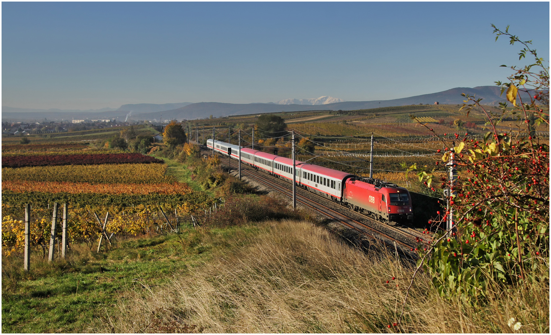 Mit dem Schnellzug durch die Hecke CLXXXIII