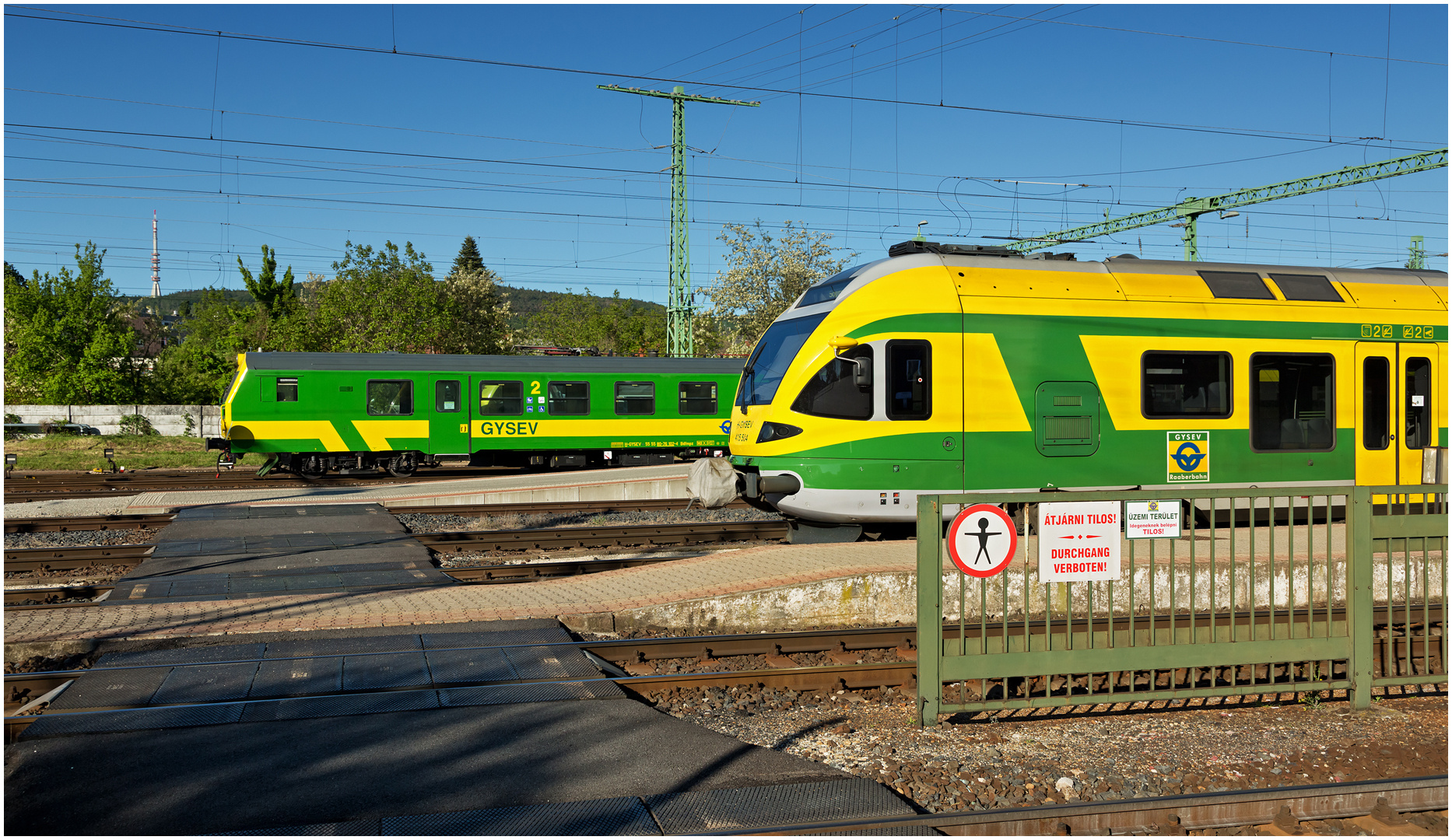 Mit dem Schnellzug durch die Hecke CMXLII