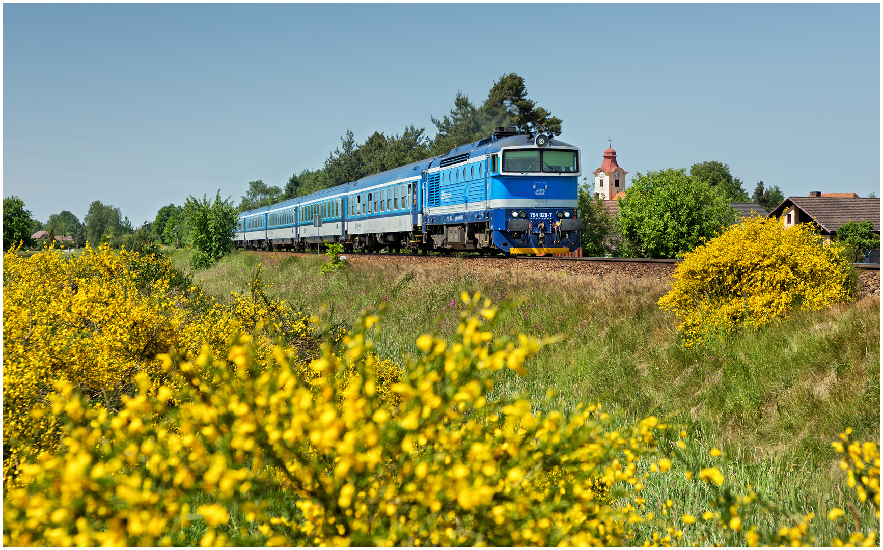 Mit dem Schnellzug durch die Hecke CMXXI