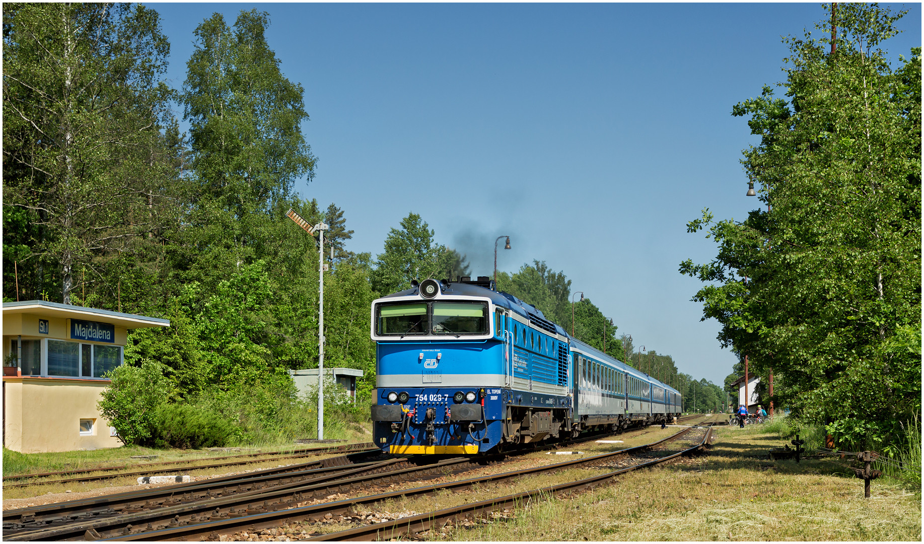 Mit dem Schnellzug durch die Hecke CMXXIII