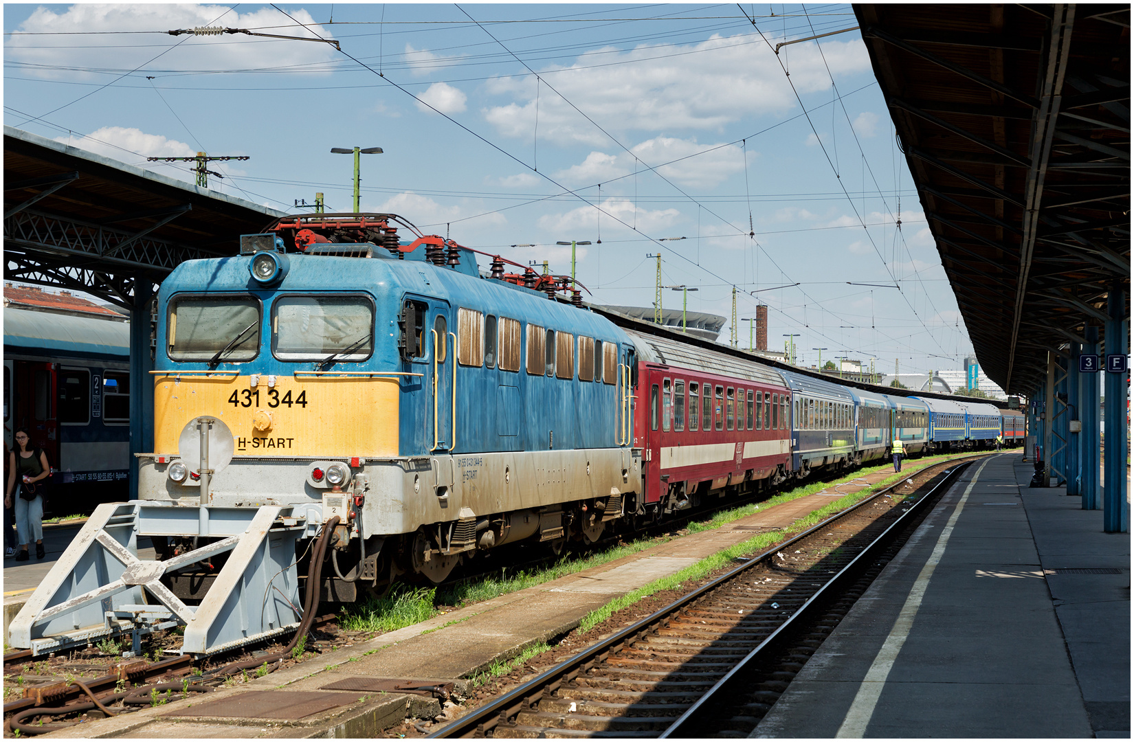 Mit dem Schnellzug durch die Hecke CMXXVI