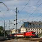 Mit dem Schnellzug durch die Hecke CXCII