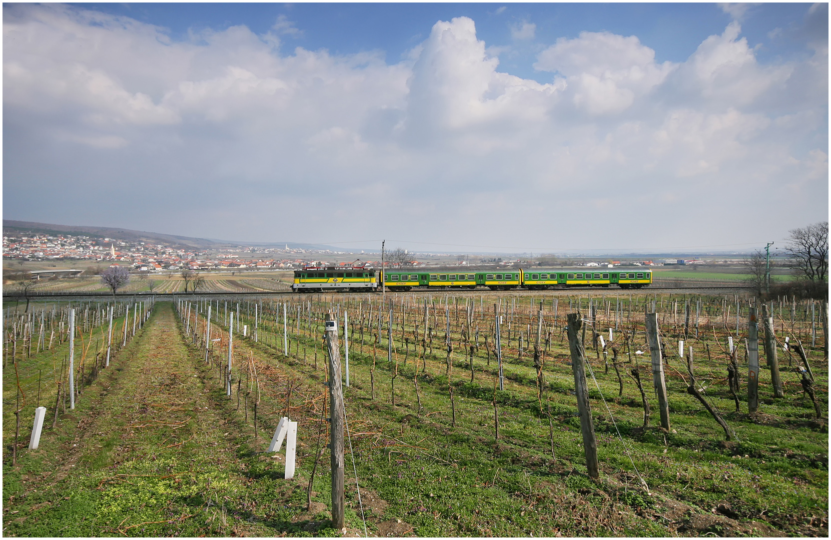 Mit dem Schnellzug durch die Hecke CXXVIII