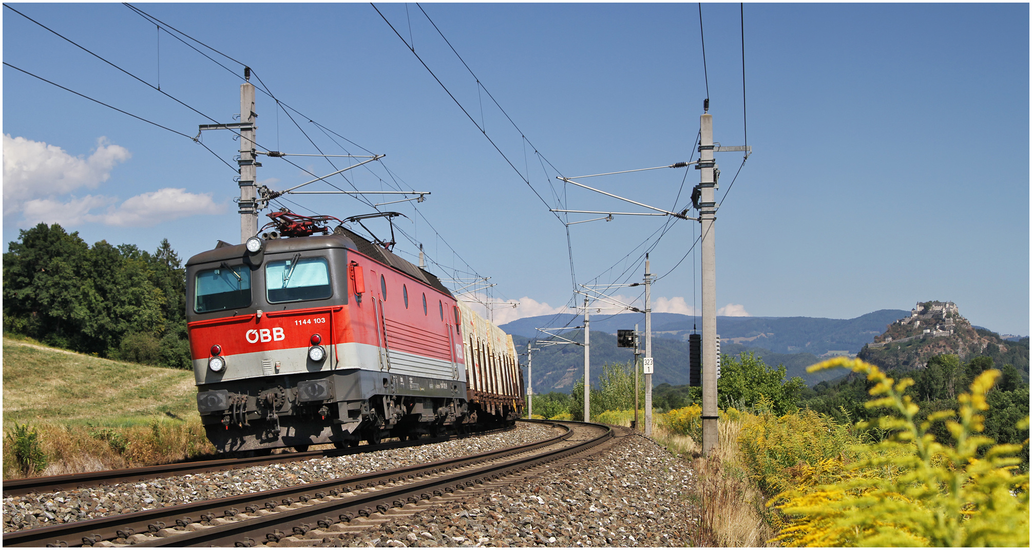 Mit dem Schnellzug durch die Hecke CXXXII